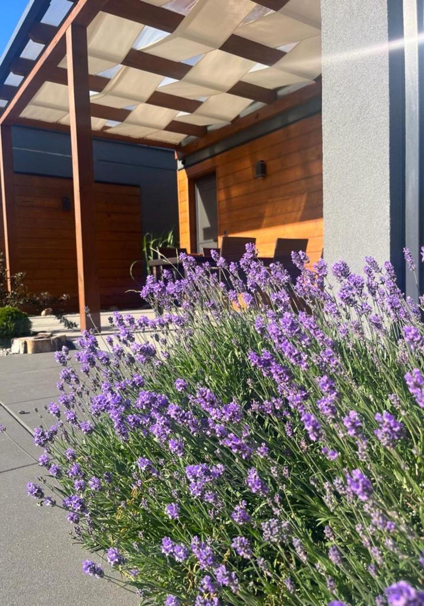 Cisza Bungalows Village / Blisko Natury Nowecin Bagian luar foto