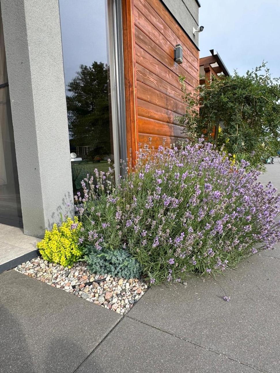 Cisza Bungalows Village / Blisko Natury Nowecin Bagian luar foto